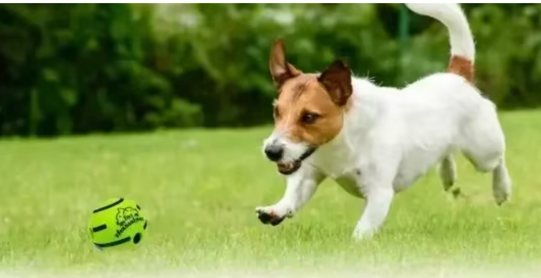 TailWaggers™ Pet Dog Toy Ball Wobble Wag Giggle Sound-Emitting Glow Ball Interactive Dog Toy