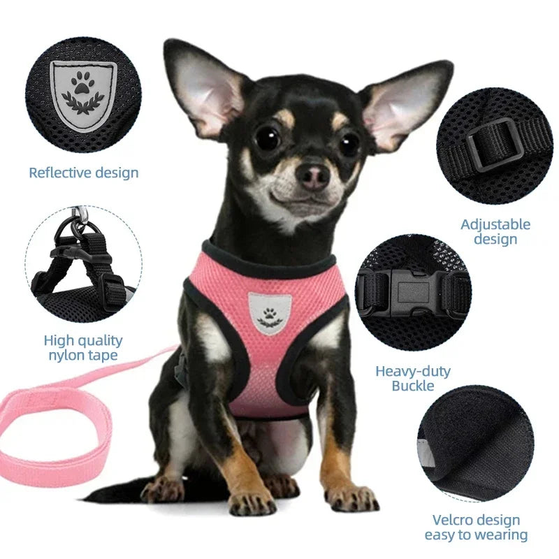 TailWaggers™Cat Harness Vest Walking Lead Leash For Puppy Dogs Collar Polyester Adjustable Mesh Dog Harness For Small Medium Pet Accessories