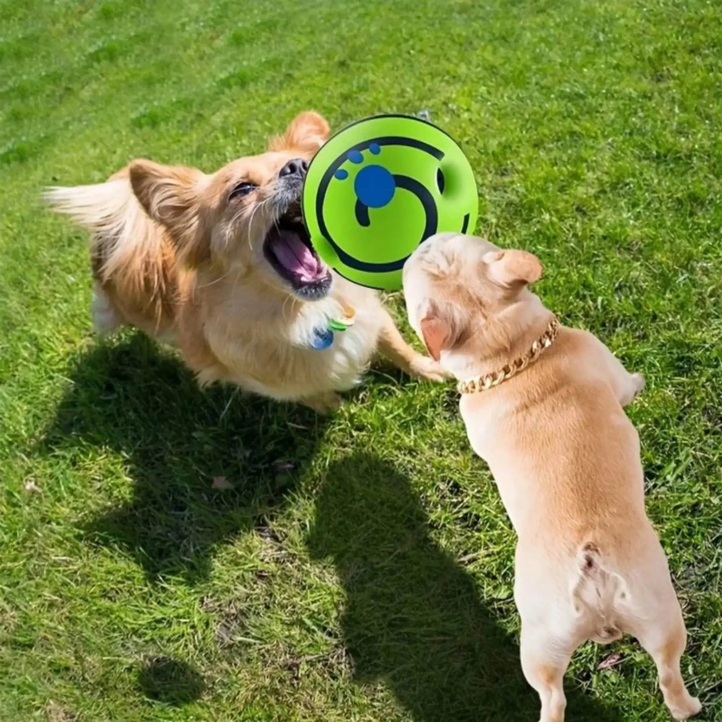 TailWaggers™ Pet Dog Toy Ball Wobble Wag Giggle Sound-Emitting Glow Ball Interactive Dog Toy