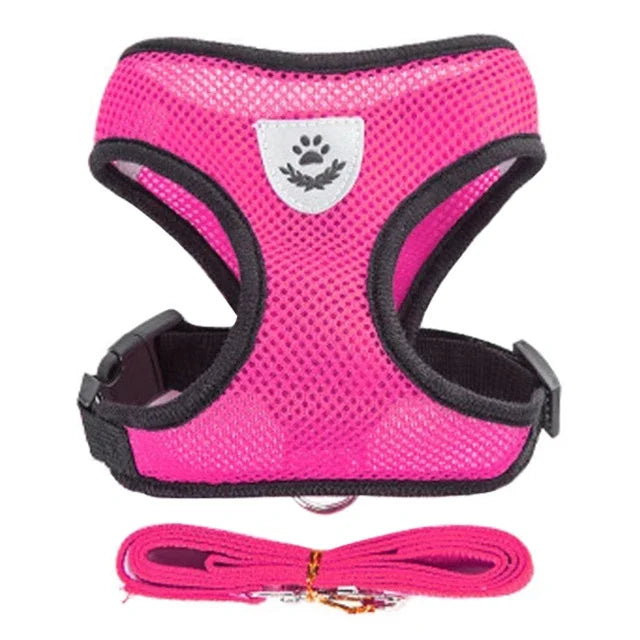 TailWaggers™Cat Harness Vest Walking Lead Leash For Puppy Dogs Collar Polyester Adjustable Mesh Dog Harness For Small Medium Pet Accessories