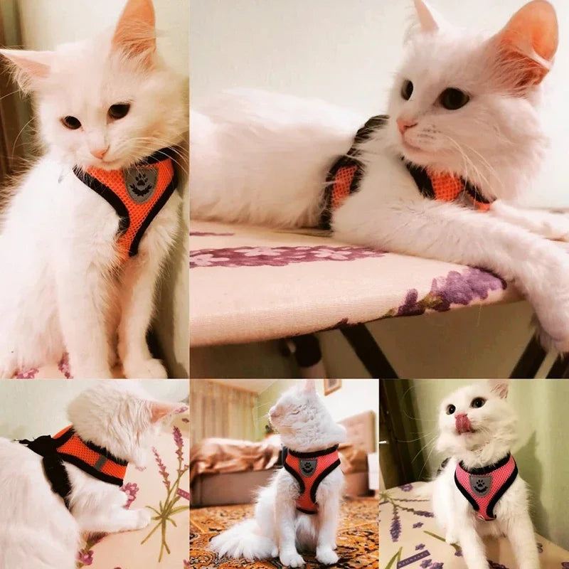 TailWaggers™Cat Harness Vest Walking Lead Leash For Puppy Dogs Collar Polyester Adjustable Mesh Dog Harness For Small Medium Pet Accessories