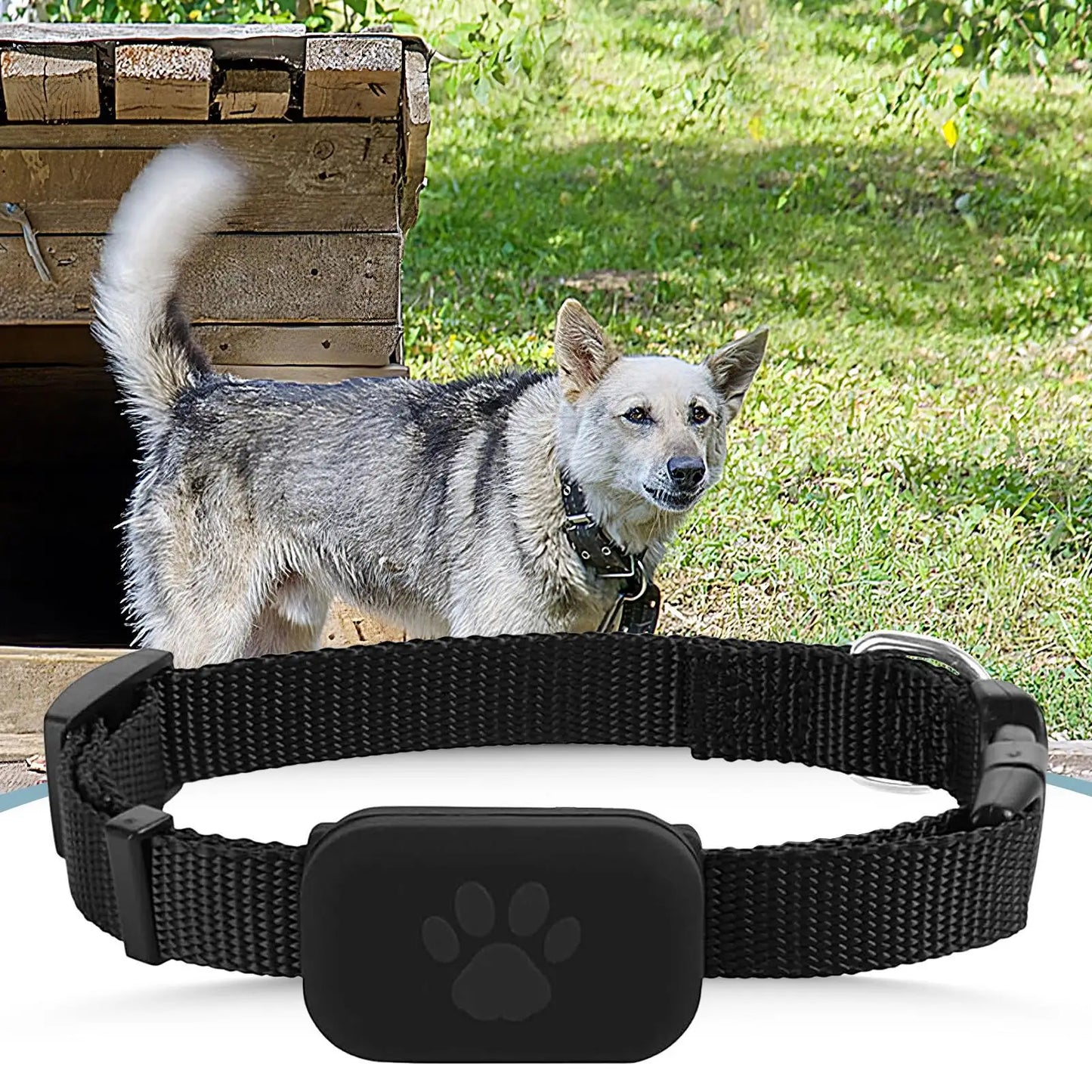 TailWaggers™ Multifunctional Pet Smart GPS Trackers Mini