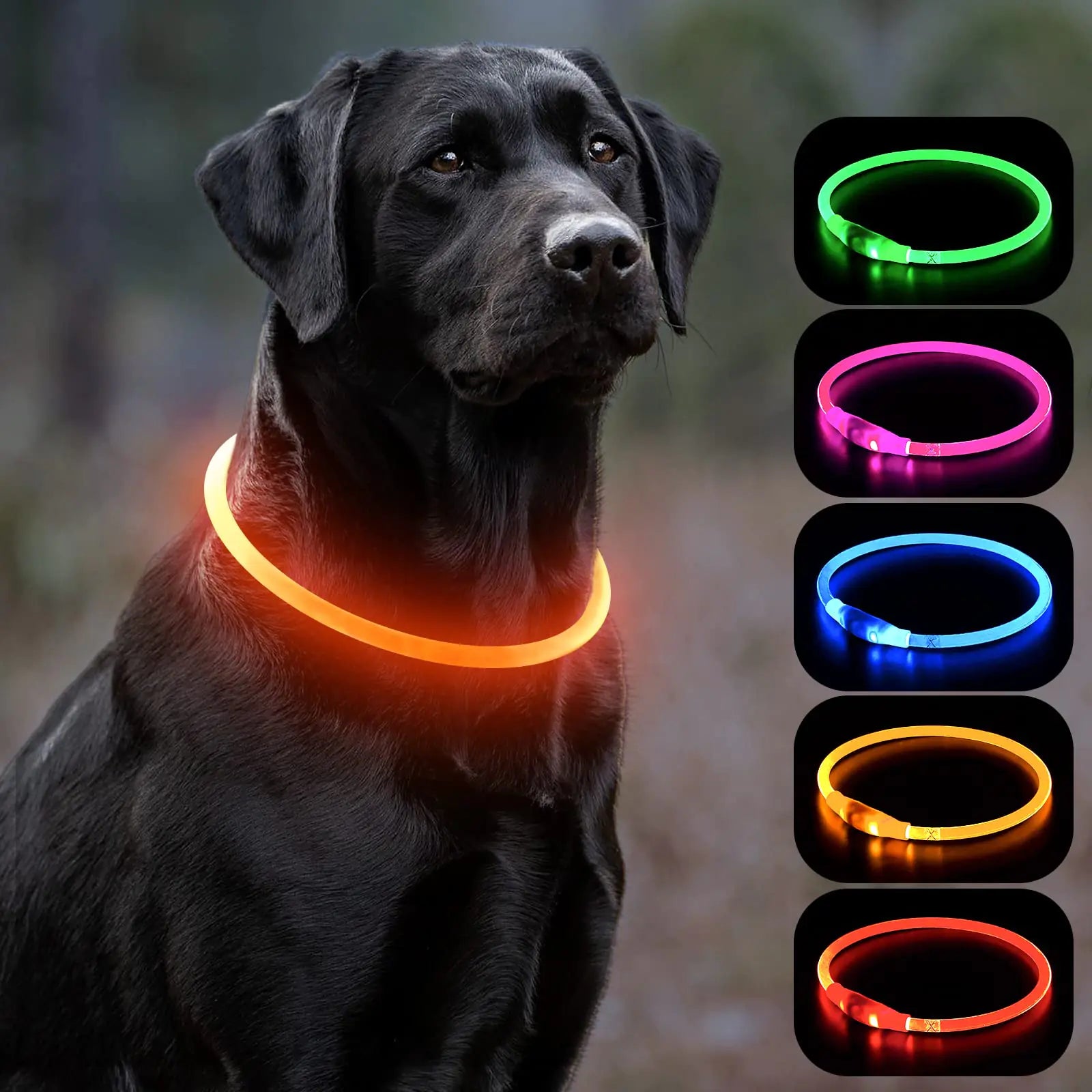 Vizbrite LED Dog Collar USB Rechargeable Light Safety