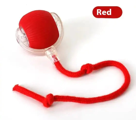 TailWaggers™ Speedy Tail Pet Toy Ball