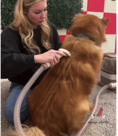 Pet Grooming Comb and Shaver – Easy Home Grooming for Dogs and Cats