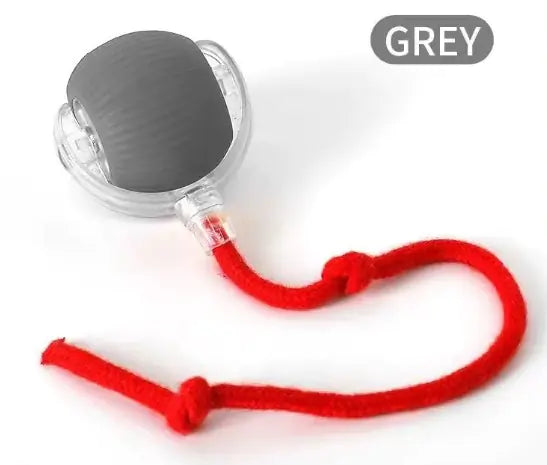 TailWaggers™ Speedy Tail Pet Toy Ball