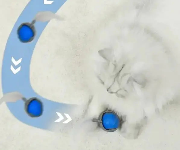 TailWaggers™ Speedy Tail Pet Toy Ball