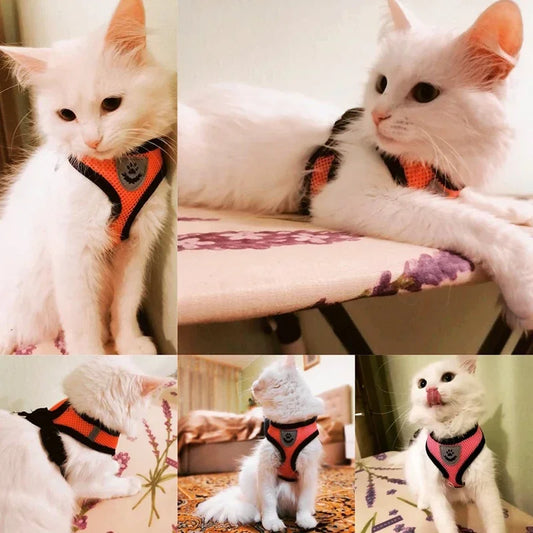 TailWaggers™Cat Harness Vest Walking Lead Leash For Puppy Dogs Collar Polyester Adjustable Mesh Dog Harness For Small Medium Pet Accessories