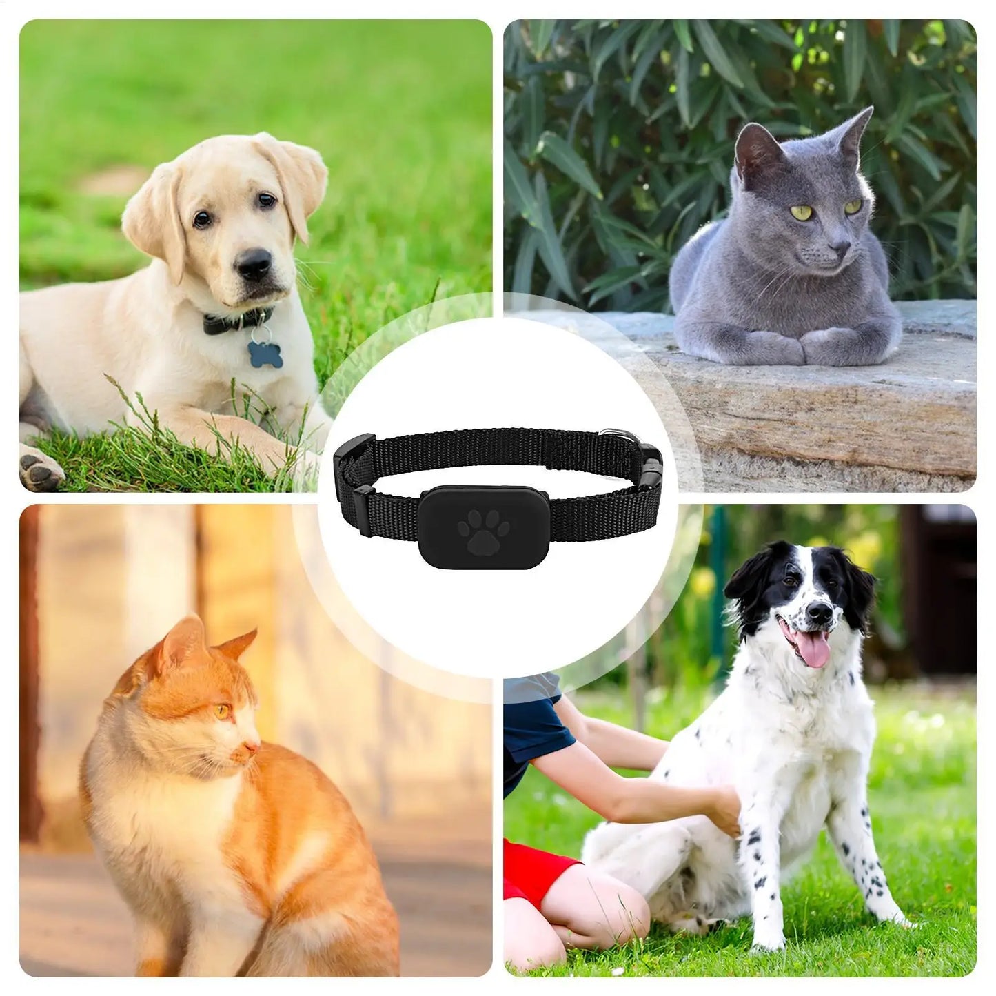 TailWaggers™ Multifunctional Pet Smart GPS Trackers Mini