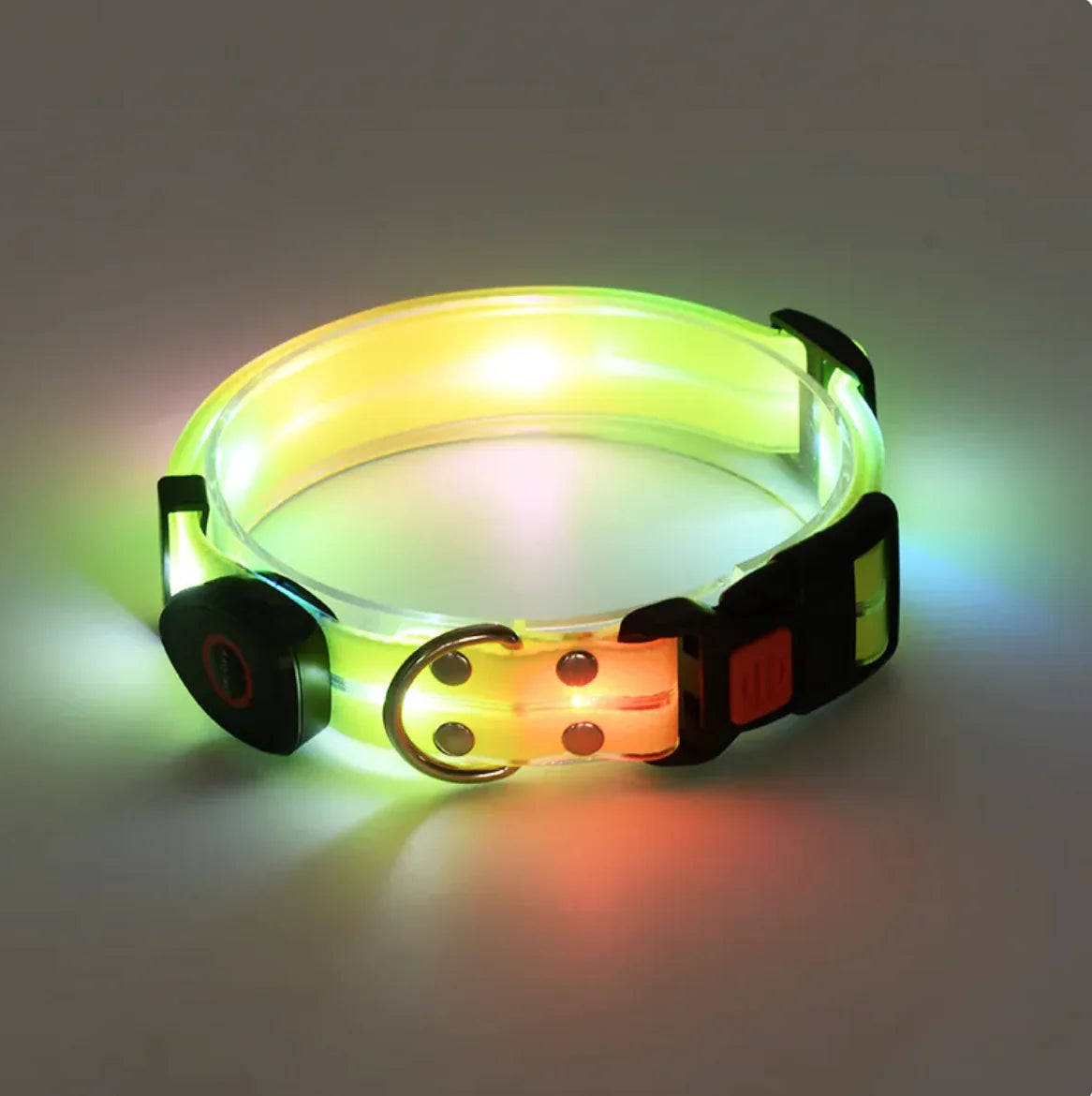 TailWaggers™ Rechargeable LED Pet Collar with Nylon Leash