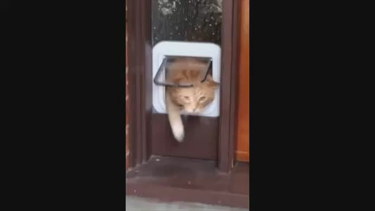 TailWaggers™ Electronic Induction Dog Cat Door Automatic, Smart Pet Safe Door