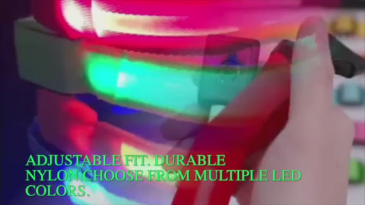 TailWaggers™ LED Adjustable Dog Collar Blinking Flashing Light Up Glow Pets Safety Waterproof