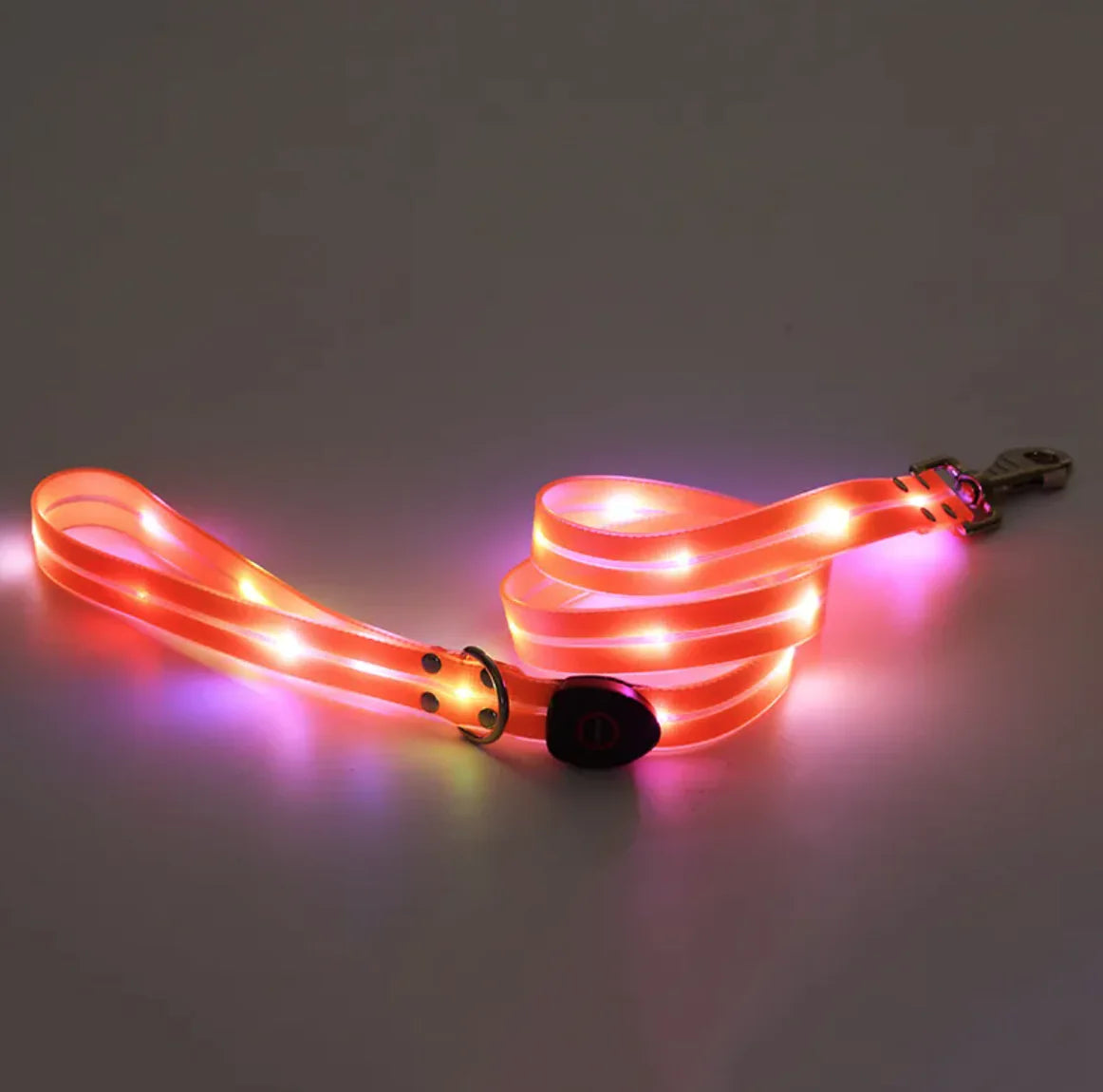 TailWaggers™ Rechargeable LED Pet Collar with Nylon Leash